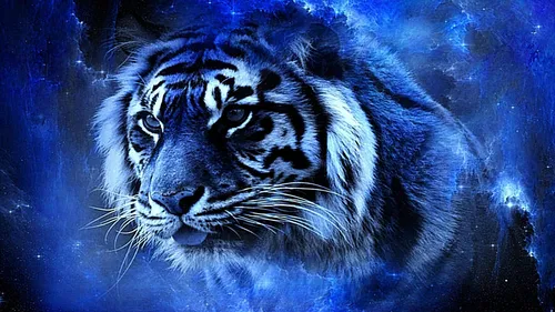 Год Тигра Картинки белый тигр с черными полосками