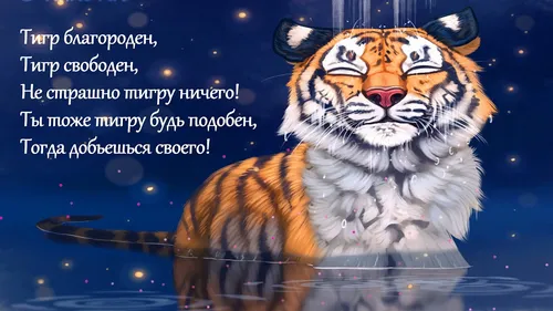 Год Тигра Картинки тигр на синем фоне