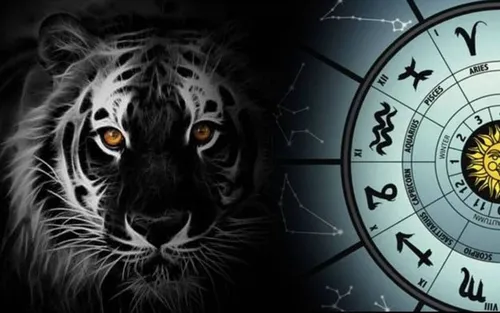 Год Тигра Картинки черно-белый пятнистый тигр
