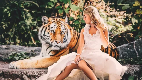 Год Тигра Картинки человек, сидящий на тигре
