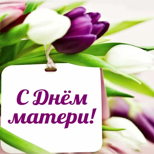 День Матери Картинки фиолетовый цветок с белым текстом