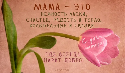 День Матери Картинки розовый цветок с зелеными листьями
