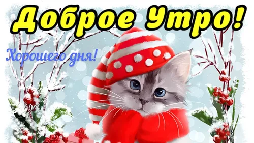 Доброе Снежное Утро Картинки кот в шляпе санты