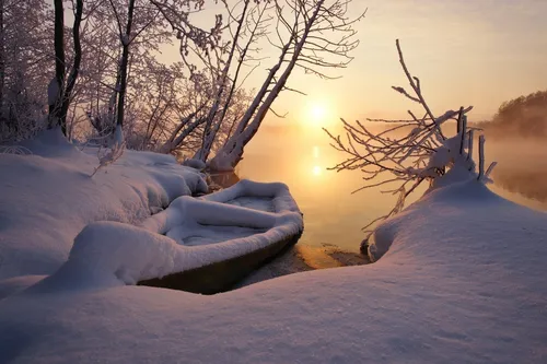 Доброе Снежное Утро Картинки снежный пейзаж с деревом