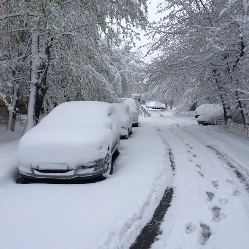Доброе Снежное Утро Картинки автомобиль, покрытый снегом