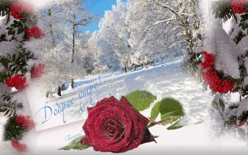 Доброе Снежное Утро Картинки красный цветок на снегу