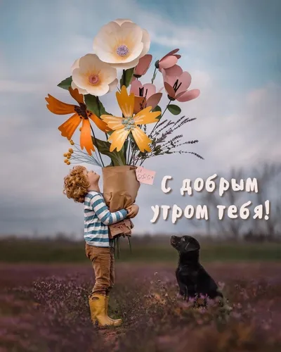 Картинка Позитивная С Добрым Утром Картинки ребенок держит ведро с цветами