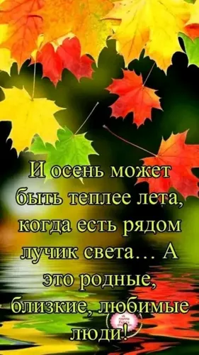 Картинка Позитивная С Добрым Утром Картинки группа листьев