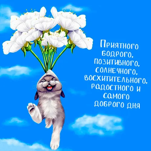 Картинка Позитивная С Добрым Утром Картинки кот держит цветок