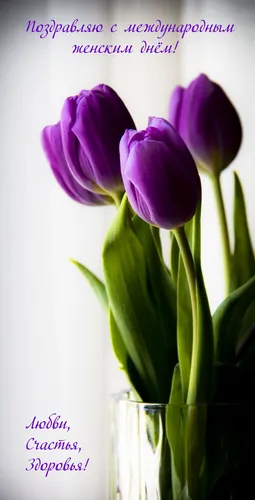 8 Марта Красивые Картинки фиолетовые цветы в стеклянной вазе