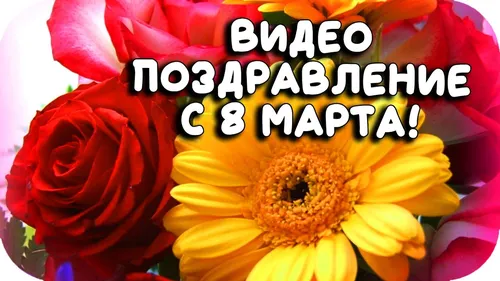 8 Марта Красивые Картинки цветок крупным планом