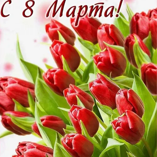 8 Марта Красивые Картинки крупный план некоторых цветов