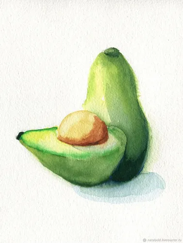 Авокадо Картинки зеленый фрукт с разрезом пополам