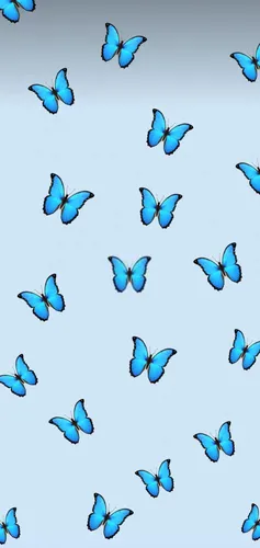 Бабочек Картинки группа бабочек