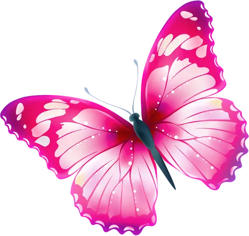 Бабочек Картинки розовый цветок со стеблем