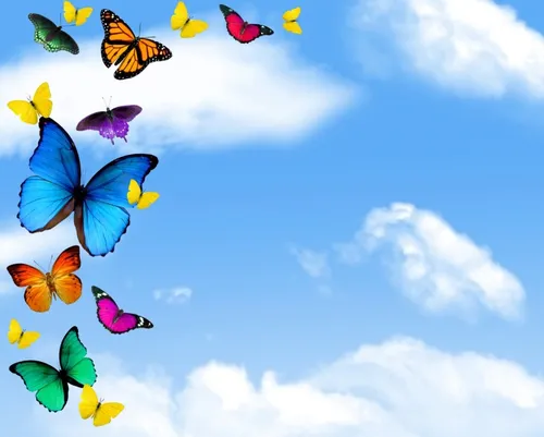 Бабочек Картинки группа бабочек, летающих в небе