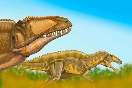 Динозавров Картинки черепаха на зеленой поверхности