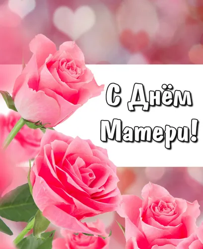 Ко Дню Матери Картинки группа розовых роз