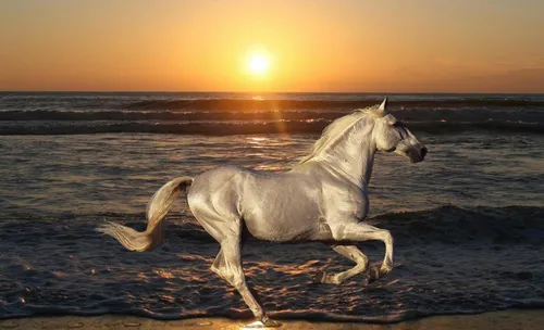 Лошадей Картинки лошадь бежит по пляжу