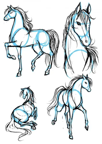 Лошадей Картинки рисунок лошади