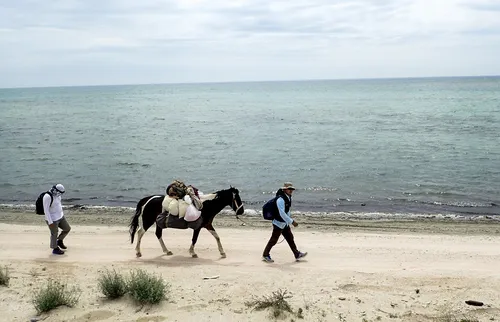 Лошадей Картинки пара мужчин гуляет с лошадью по пляжу