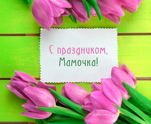 С Днем Мамы Картинки букет розовых цветов