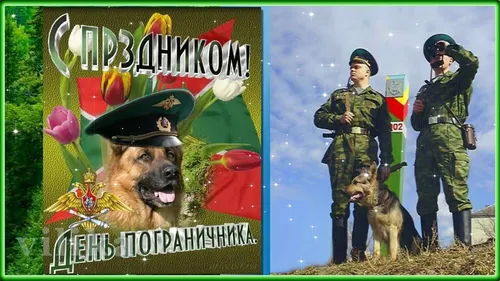 С Днем Пограничника Картинки коллаж человека в военной форме и собаки