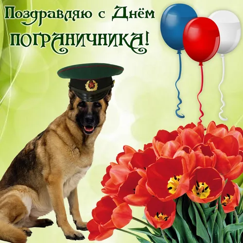 С Днем Пограничника Картинки собака в выпускной кепке