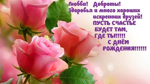 С Днем Рождения Современные Картинки группа розовых роз