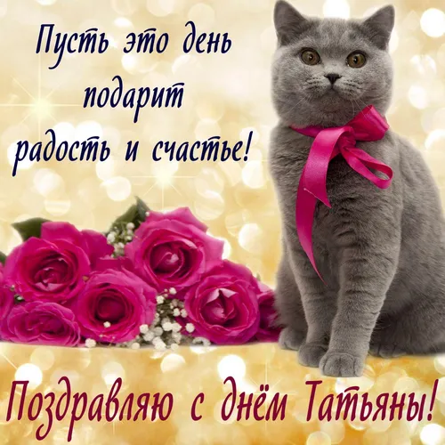 С Днем Татьяны Картинки кот сидит рядом с букетом роз