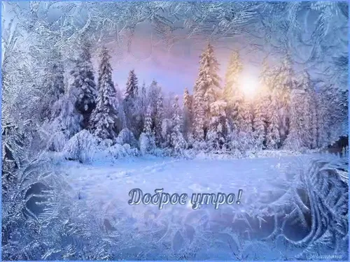С Добрым Утром Зимние Картинки снежный пейзаж с деревьями