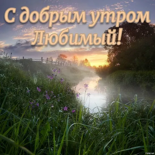 С Добрым Утром Мужчине Картинки река с травой и цветами