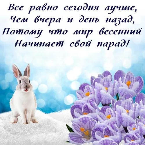 С Первым Днем Весны Картинки кролик сидит перед букетом цветов