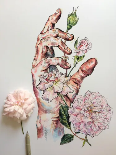 Эстетика Картинки ваза с цветами и бабочками