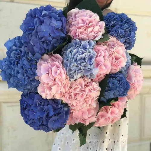 Цветы Фото ваза с цветами