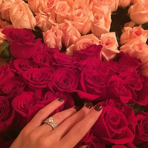 Цветы Фото рука держит кольцо перед букетом розовых роз