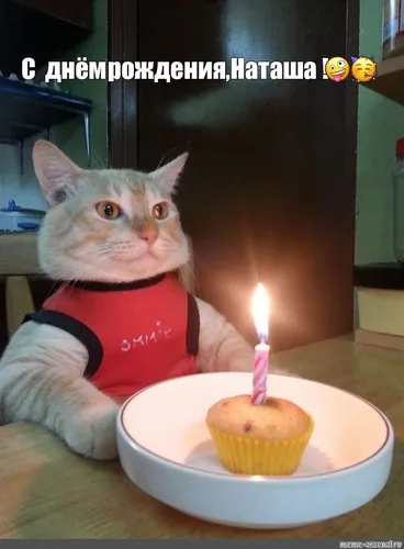 Наташа С Днем Рождения Картинки кот сидит перед свечой с пламенем