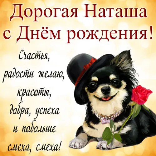 Наташа С Днем Рождения Картинки собака в шляпе с розой