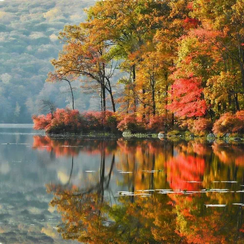 Осенние Картинки водоем с деревьями вокруг