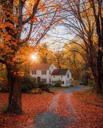 Осенние Картинки дорога с деревьями сбоку и домами сбоку