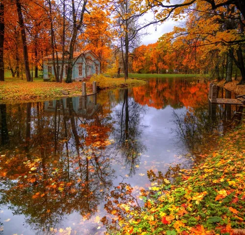 Осенние Картинки озеро с деревьями вокруг него