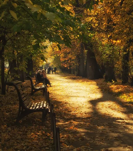 Осенние Картинки пара человек сидят на скамейке в парке