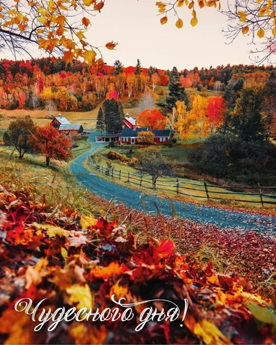 Осенние Картинки красивый пейзаж с деревьями и домом