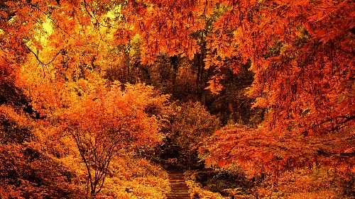 Осенние Картинки река в лесу