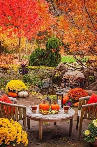 Осенние Картинки стол с тыквами и цветами
