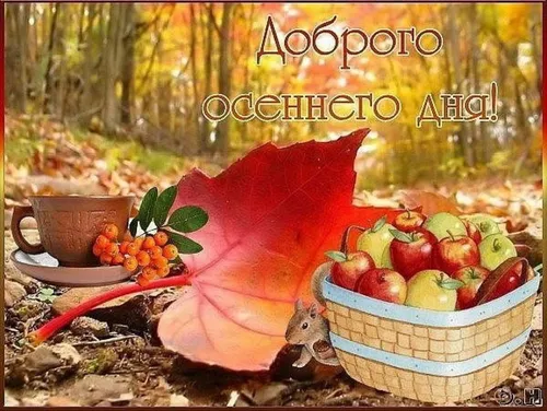 Осенний Солнечный Доброе Утро Картинки птица ест фрукты
