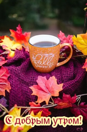 Осенний Солнечный Доброе Утро Картинки чашка кофе на одеяле