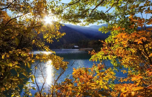 Осенний Солнечный Доброе Утро Картинки озеро, окруженное деревьями