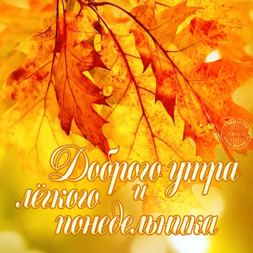 Осенний Солнечный Доброе Утро Картинки куча красных листьев