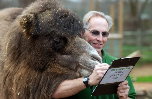 Смешные Фото человек, держащий книгу рядом с ленивцем